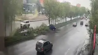 Влетел в деревья. 18-летний водитель устроил жёсткое ДТП в Актобе