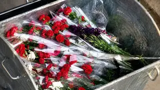 В Актау возложенные ко Дню Победы живые цветы выбросили в мусорку