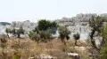 ЕС одобрил санкции против израильских поселенцев на Западном берегу и членов ХАМАС