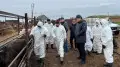 Ветеринар предупредил владельцев скота в Казахстане об угрозе заражения ящуром