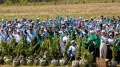 Как костанайские машиностроители восстанавливают сгоревший лес