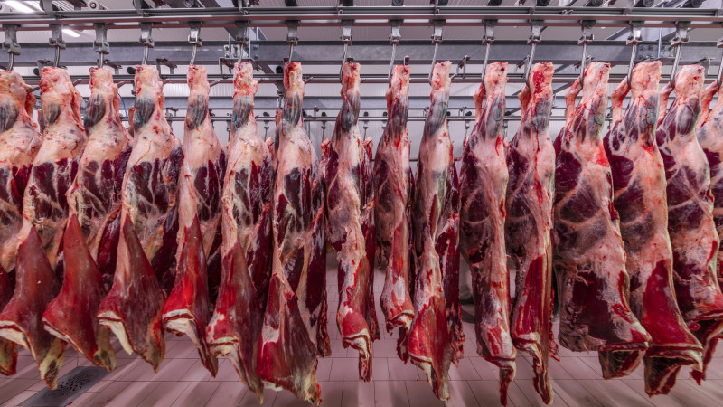 Казахстан готов экспортировать в Турцию халяльное мясо