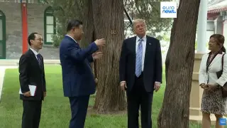 Си Цзиньпин предупредил Трампа о риске прямого конфликта Китая и США