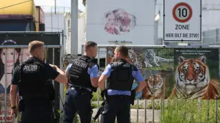 В Германии тигр напал на своего смотрителя и был застрелен