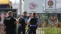 В Германии тигр напал на своего смотрителя и был застрелен