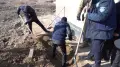 Одним ножом убита почти вся семья. Новые детали трагедии в Атырау