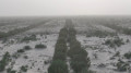 В Кызылординской области показали результаты восстановления экосистемы Арала