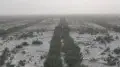 В Кызылординской области показали результаты восстановления экосистемы Арала