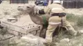 Спасатели вытащили верблюда из канализационного колодца в Кызылординской области