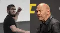 “Это неправда“: Хабиб Нурмагомедов обвинил главу UFC во лжи