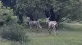 Кадр из видео