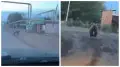 Казахстанцев просят “не строить версии“ вокруг поисков медведя в области Жетысу