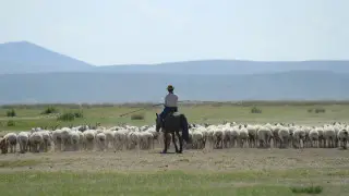 пастух