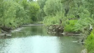 Иртыш отступил от берегов: жители Семея обеспокоены состоянием реки