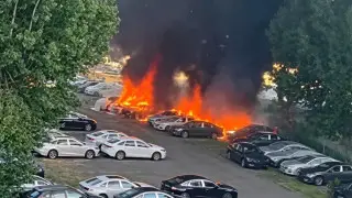 Житель Китая хотел избавиться от тополиного пуха и уничтожил 20 электромобилей