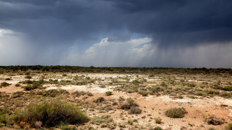 Фото:depositphotos.com