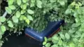 Голову облили кислотой, тело спрятали в чемодан. Озвучены страшные подробности убийства экс-судьи Айгуль Сайлыбаевой