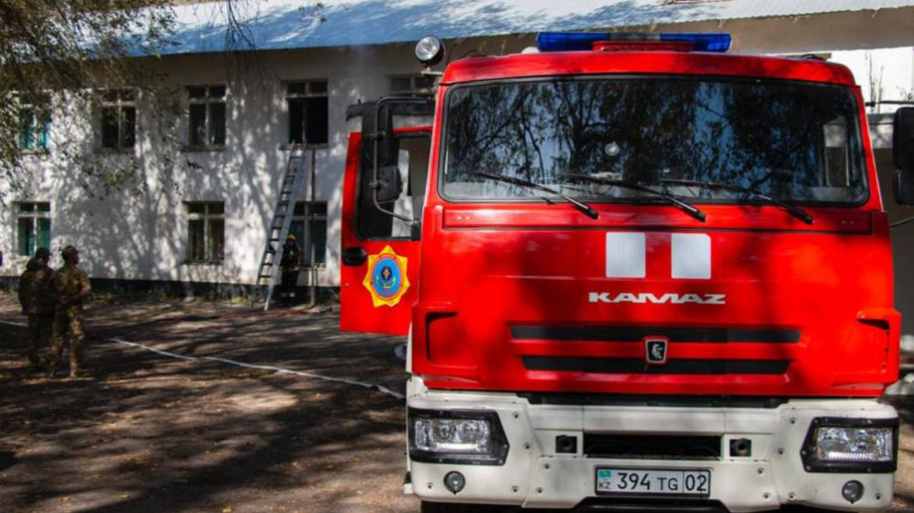 На территории алматинского зоопарка произошел пожар