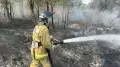 Сколько получают лесные пожарные в Казахстане - вице-министр озвучил зарплаты