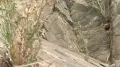 Ученые рассекретили уникальную находку в Жамбылской области