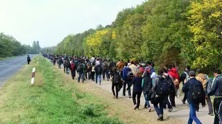 Каждый 70-й житель Земли - вынужденный переселенец - ООН