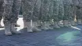 Офицерам больше не удастся “пересидеть“ службу в декрете: Минобороны меняет правила