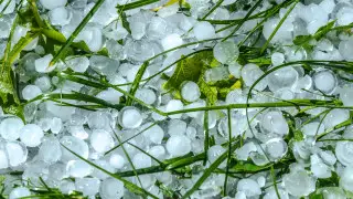 В Астане ожидается град и сильный ветер
