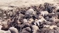 Более тысячи голов скота не пережили июньскую непогоду на западе Казахстана
