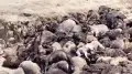 Более тысячи голов скота не пережили июньскую непогоду на западе Казахстана