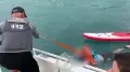 На Алаколе отдыхающих на SUP-бордах унесло в озеро - на помощь пришли полицейские и спасатели
