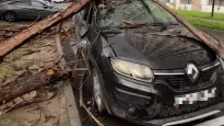 Кадр из видео saltuwa__