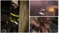 20 кошек и одну собаку спасли пожарные в Караганде