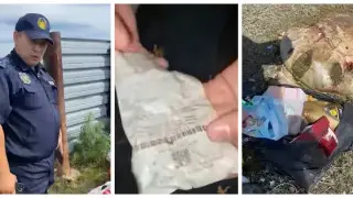 Аким решил выявлять нарушителей чистоты по оставленным в мусорных пакетах чекам