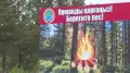 Пятый класс опасности: жителям Карагандинской области запретили ходить в лес