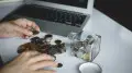 Казахстанцы могут перевести часть денег из ЕНПФ, несмотря на пороги достаточности