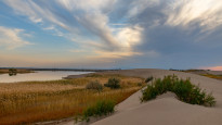 Фото: depositphotos.com