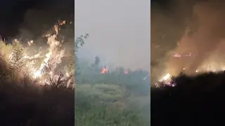 “Караулим по ночам“ - пожарные и сельчане третьи сутки тушат огонь вблизи домов в Алматинской области