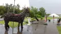 Сгоревший лес превратили в арт-объект на востоке Казахстана