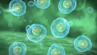 Ученые создали первую в мире синтетическую клетку