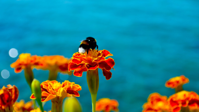 Фото:depositphotos.com