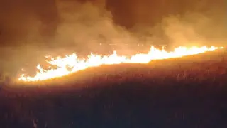 Несколько крупных возгораний сухой травы потушили за ночь в Акмолинской области
