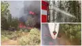 Сотни спасателей с земли и воздуха тушат лесной пожар в области Абай