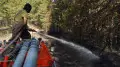 Лесной пожар в области Абай локализован - МЧС