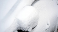 Фото:depositphotos.com