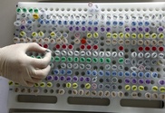 Over 2 thousand women get IVF in Kazakhstan annually