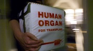 25,000 Kazakhs need organ transplantation