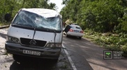Several cars with drivers were hit by fallen trees in Almaty