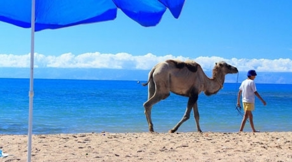 Kyrgyzstan guarantees four Issyk Kul resorts remain in Kazakhstan’s ownership