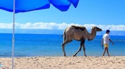 Kyrgyzstan guarantees four Issyk Kul resorts remain in Kazakhstan’s ownership