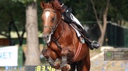 Third round of Central Asian Equestrian Obstacle Race completed in Astana